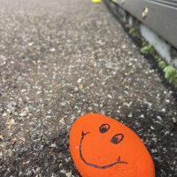 Bunte Smiley-Steine von Schülerinnen und Schülern aus Uznach